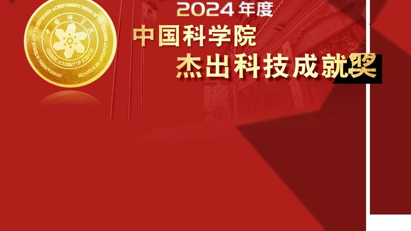 轻量化引擎：企业数字化转型的加速器